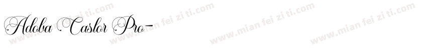 Adoba Caslor Pro字体转换